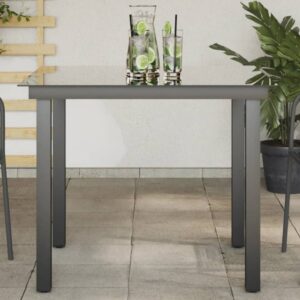 Ankeny Small Glass Top Garden Dining Table In Black